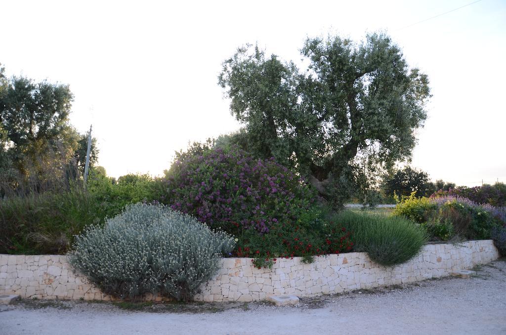 Agriturismo Tenuta Chianchizza モノーポリ エクステリア 写真